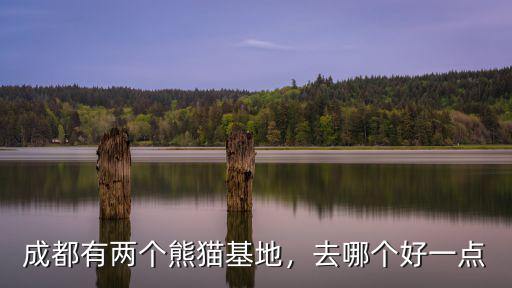 到了成都哪里看熊貓,成都有兩個熊貓基地