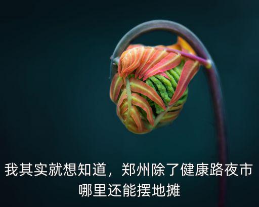 我其實就想知道，鄭州除了健康路夜市哪里還能擺地攤
