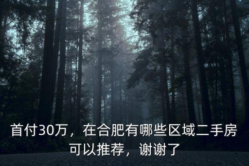 首付30萬，在合肥有哪些區域二手房可以推薦，謝謝了