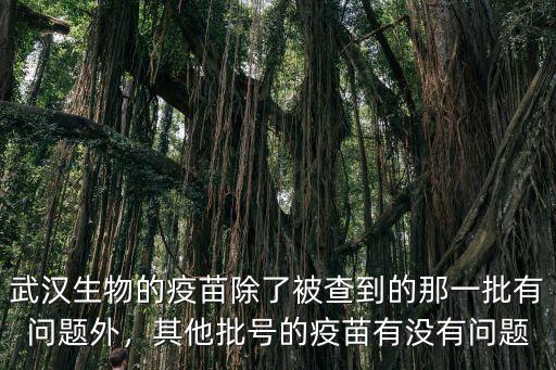 湖北怎么查詢打過的疫苗批號,怎么查所打疫苗的批次
