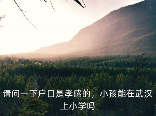 請問一下戶口是孝感的，小孩能在武漢上小學嗎