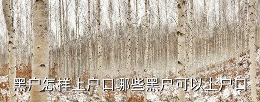 黑戶怎樣上戶口哪些黑戶可以上戶口