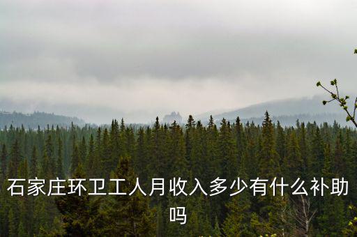 石家莊環衛工人月收入多少有什么補助嗎