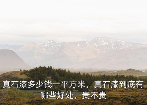 承德哪里有真石漆多少錢,真石漆多少錢一平方米