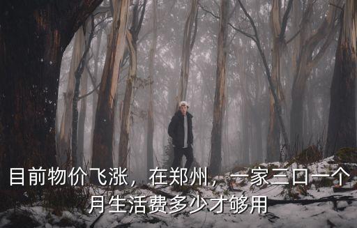 目前物價飛漲，在鄭州，一家三口一個月生活費多少才夠用