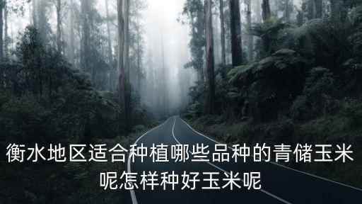 衡水地區適合種植哪些品種的青儲玉米呢怎樣種好玉米呢