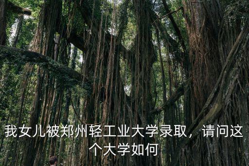 鄭州輕工業學院上海學長怎么樣,鄭州輕工業大學怎么樣