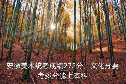 安徽美術(shù)統(tǒng)考成績(jī)272分，文化分要考多分能上本科