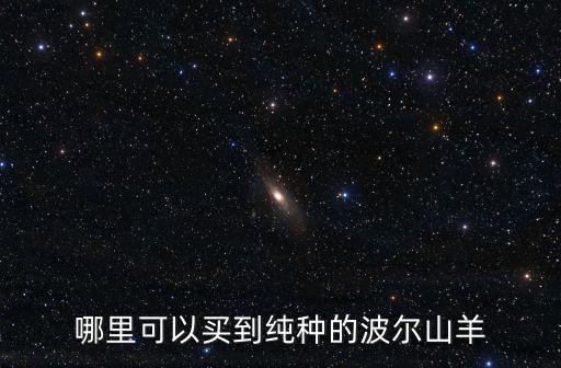 四川買波爾山羊在哪里買,波爾山羊在四川綿陽養殖如何