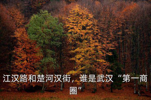 江漢路和楚河漢街，誰是武漢“第一商圈”