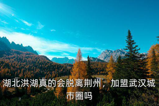 荊州沙市淹水武漢會怎么樣,沙市這個城市怎么樣