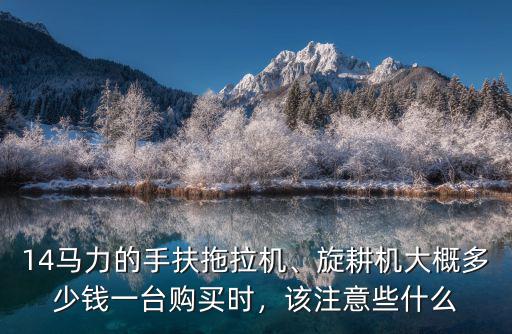 亳州農用手扶拖拉機多少錢,14馬力的手扶拖拉機