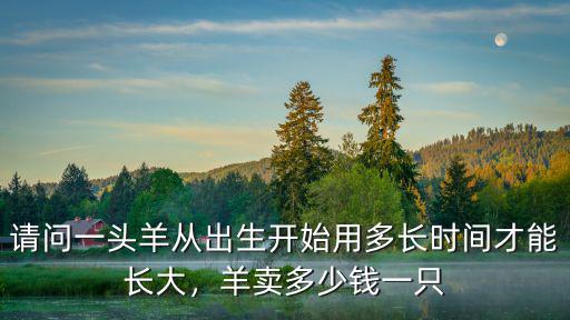 請問一頭羊從出生開始用多長時間才能長大，羊賣多少錢一只