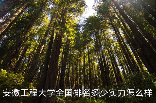 安徽安師大在全國能排多少位,在全國能排第幾位