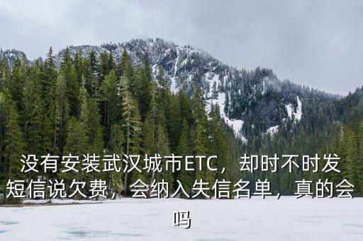 在武漢不安裝etc會(huì)怎么樣,如果安裝了不交費(fèi)會(huì)怎么樣
