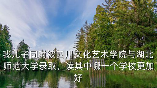 我兒子同時被四川文化藝術(shù)學(xué)院與湖北師范大學(xué)錄取，讀其中哪一個學(xué)校更加好