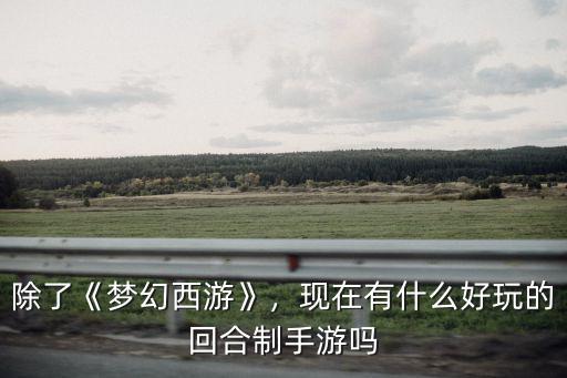 除了《夢幻西游》，現在有什么好玩的回合制手游嗎