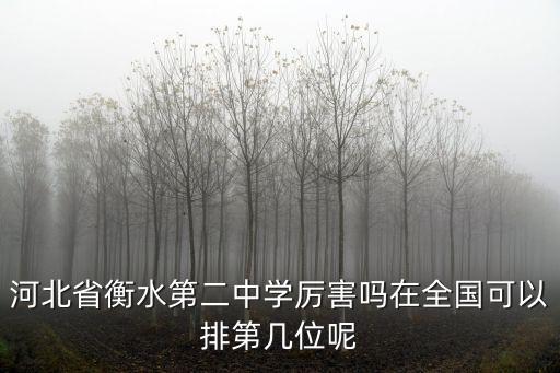 河北省衡水第二中學厲害嗎在全國可以排第幾位呢