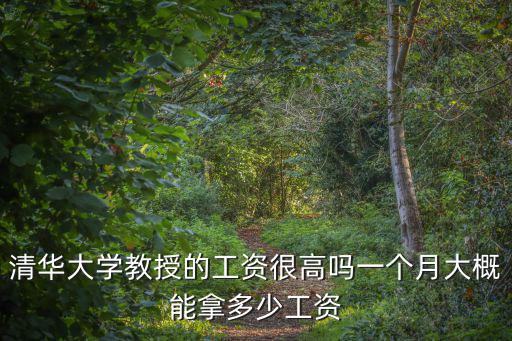 清華大學教授的工資很高嗎一個月大概能拿多少工資