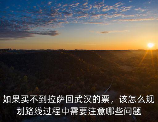 如果買不到拉薩回武漢的票，該怎么規(guī)劃路線過程中需要注意哪些問題