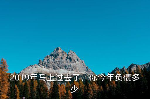 安徽省舒城縣2019年負(fù)債多少,2019年你負(fù)債了多少