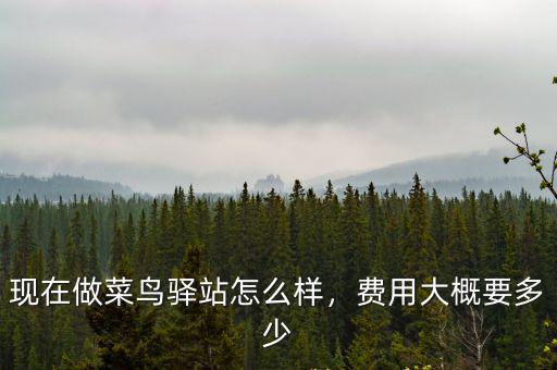 六安多少家菜鳥驛站,一個菜鳥驛站一年能收入多少