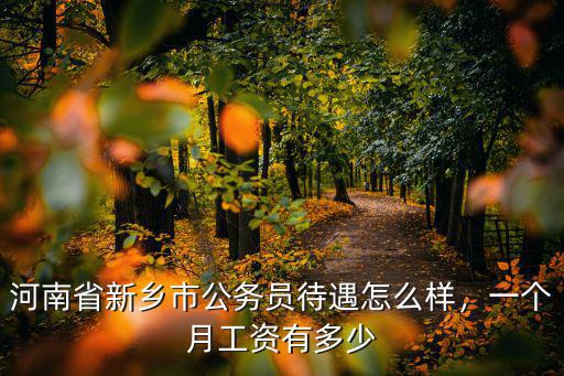 河南省新鄉市公務員待遇怎么樣，一個月工資有多少