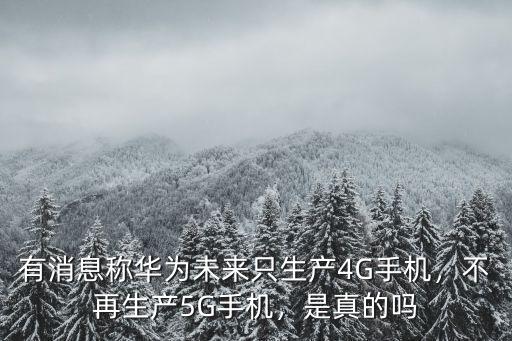南陽5g手機哪里生產的,不再生產5G手機