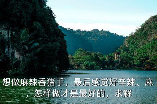 武漢九九麻辣豬蹄怎么做,麻辣豬蹄怎樣做才能色艷味爽