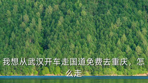 我想從武漢開車走國道免費去重慶，怎么走