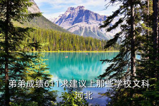 文科611在河北能排多少位,2019年河北文科611分
