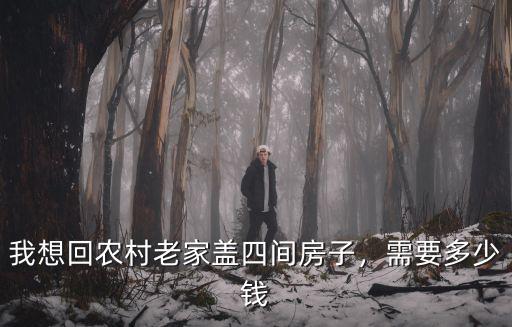 我想回農村老家蓋四間房子，需要多少錢