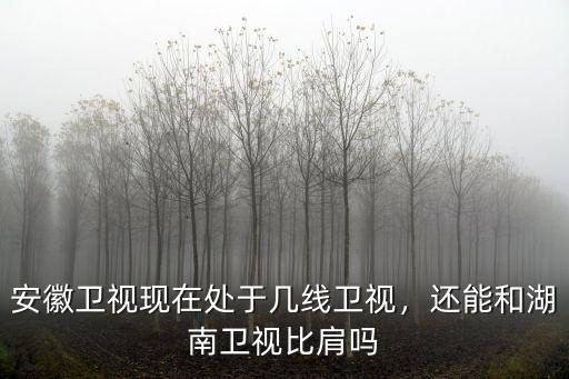 安徽衛視現在處于幾線衛視，還能和湖南衛視比肩嗎