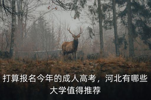 衡水報名成人高考有多少人,打算報名今年的成人高考