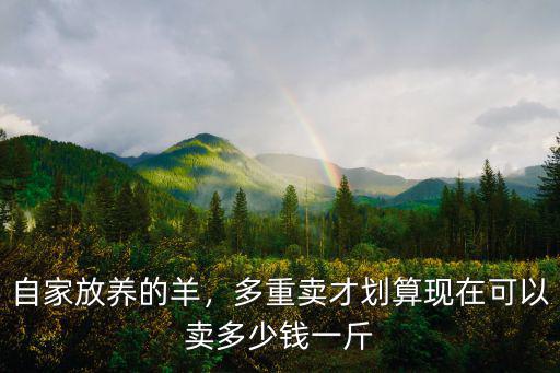 自家放養的羊，多重賣才劃算現在可以賣多少錢一斤