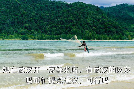 想在武漢開一家鮮米店，有武漢的網友嗎幫忙提點建議，可行嗎