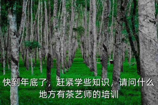 快到年底了，趕緊學(xué)些知識，請問什么地方有茶藝師的培訓(xùn)