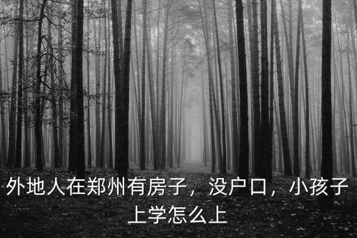 鄭州沒有房子怎么上公立小學,小孩子上學怎么上