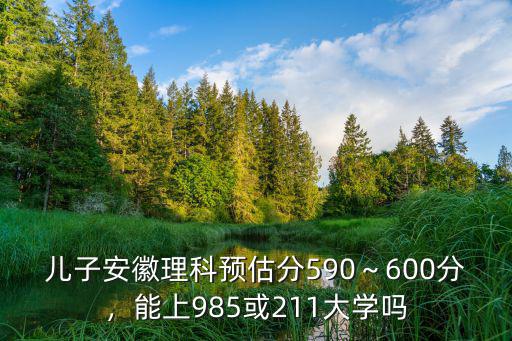 兒子安徽理科預(yù)估分590～600分，能上985或211大學(xué)嗎