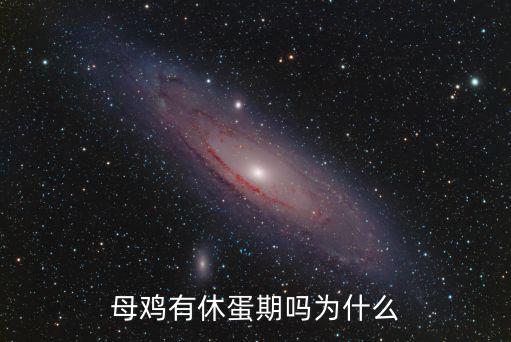 淮南王母雞多少天產(chǎn)蛋,一只母雞一年能產(chǎn)多少蛋