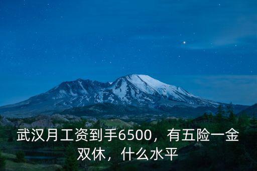武漢月工資到手6500，有五險一金雙休，什么水平