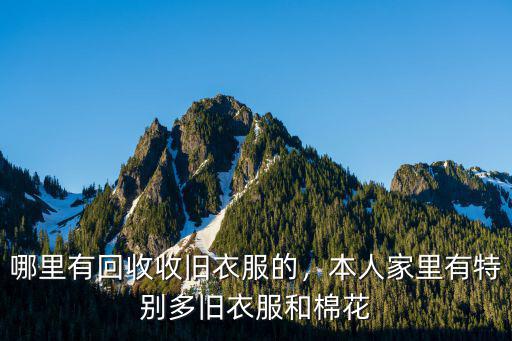 宜賓哪里有回收舊衣服的,回收的舊衣服去了哪里