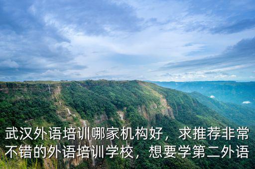 武漢外語培訓哪家機構好，求推薦非常不錯的外語培訓學校，想要學第二外語