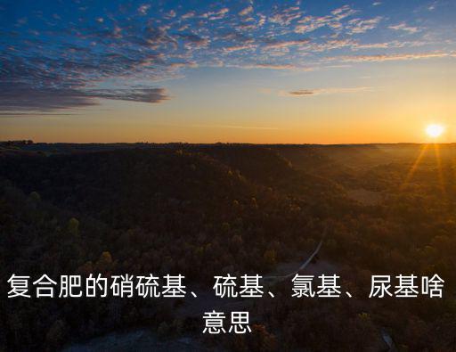 硝硫基高鉀復合肥多少錢一包,硫基復合肥用在水田行嗎