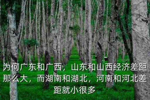 為何廣東和廣西，山東和山西經濟差距那么大，而湖南和湖北，河南和河北差距就小很多
