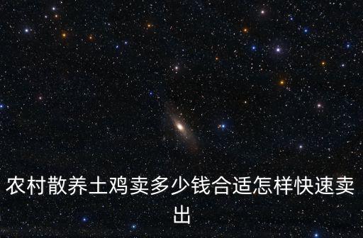 農村散養土雞賣多少錢合適怎樣快速賣出