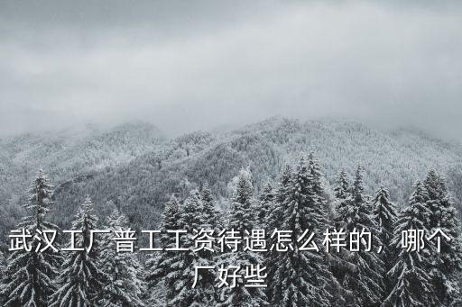 武漢格羅夫待遇怎么樣,武漢小米公司待遇怎么樣