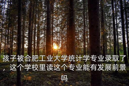 合肥工業(yè)大學(xué)本科專業(yè)有多少,合肥工業(yè)大學(xué)是高水平大學(xué)嗎