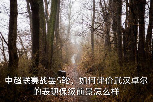 武漢卓爾航空待遇怎么樣,武漢卓爾在中超前景怎么樣