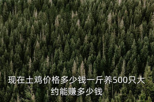 現在土雞價格多少錢一斤養500只大約能賺多少錢